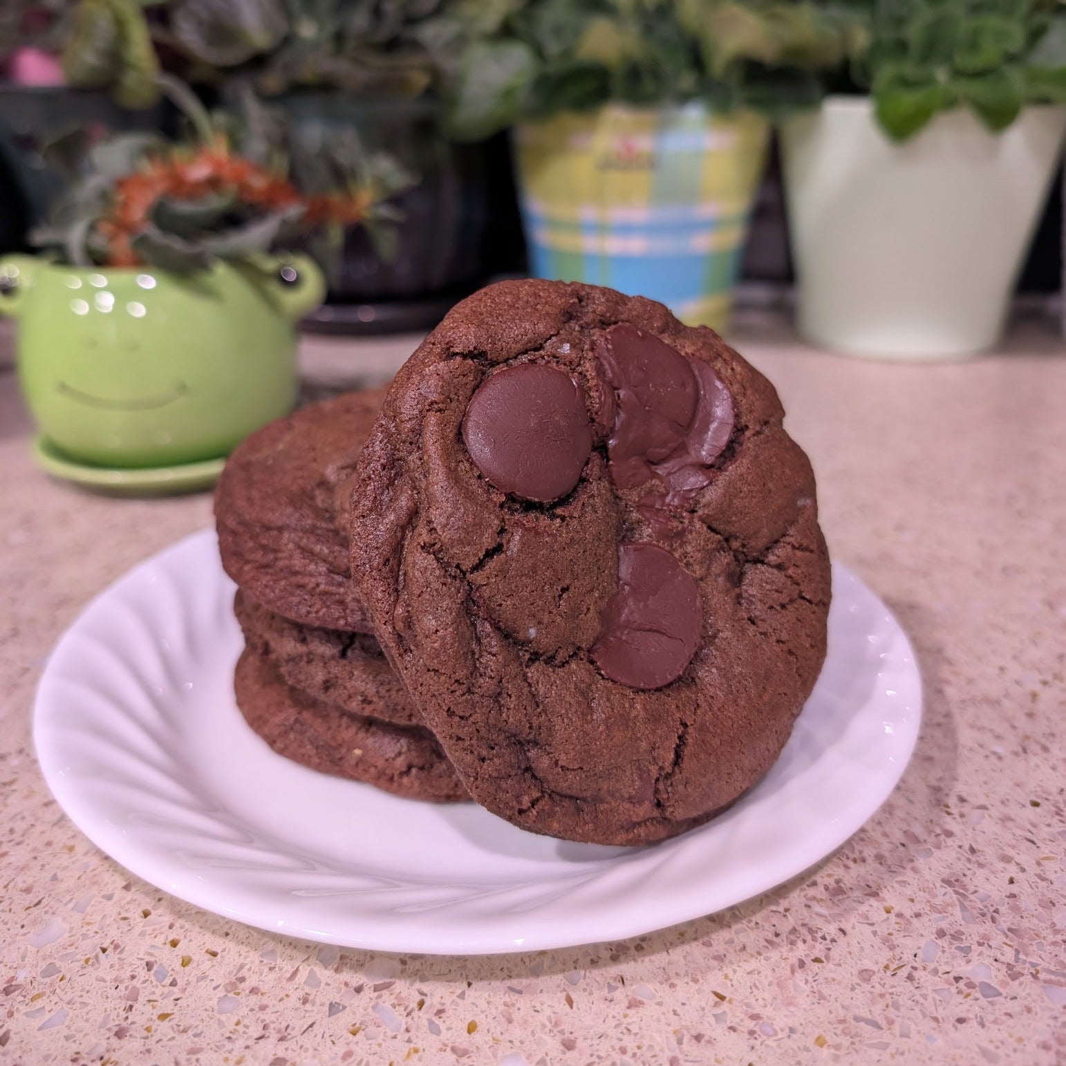 Double Choco Chip