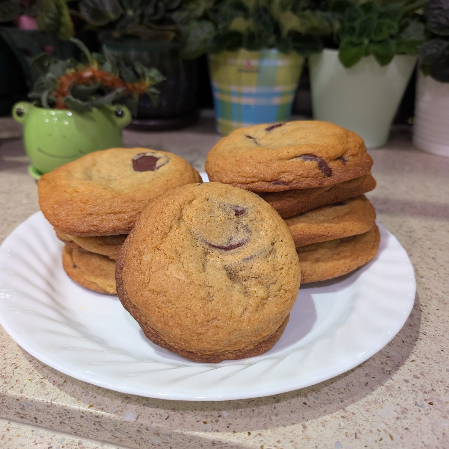 Choco Chip