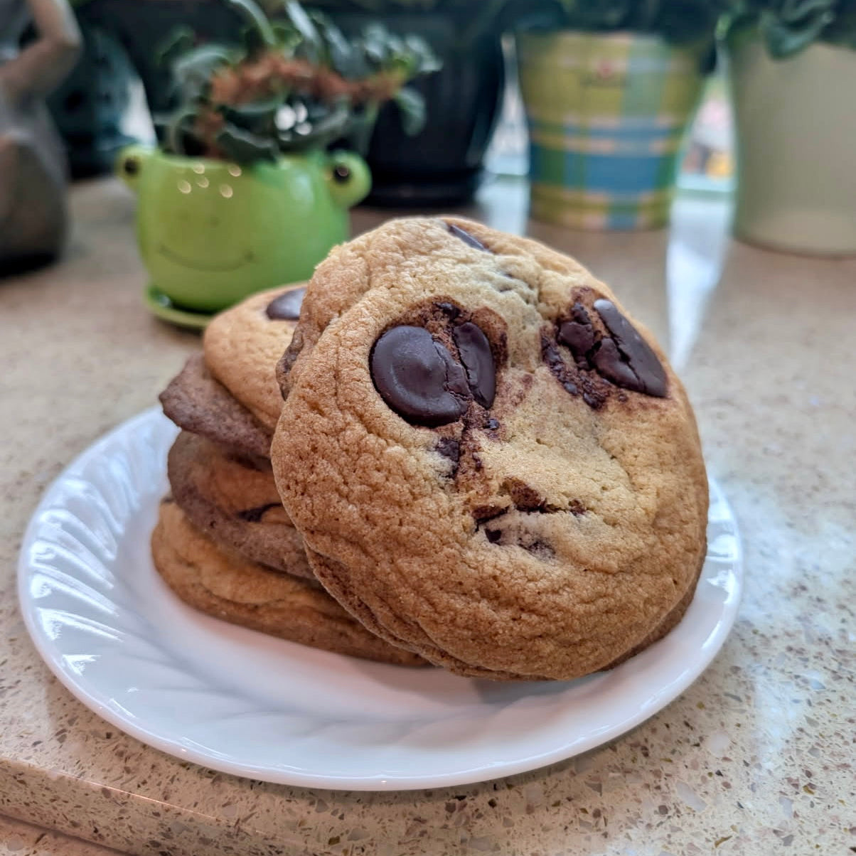 Choco Chip (Batch of 6)